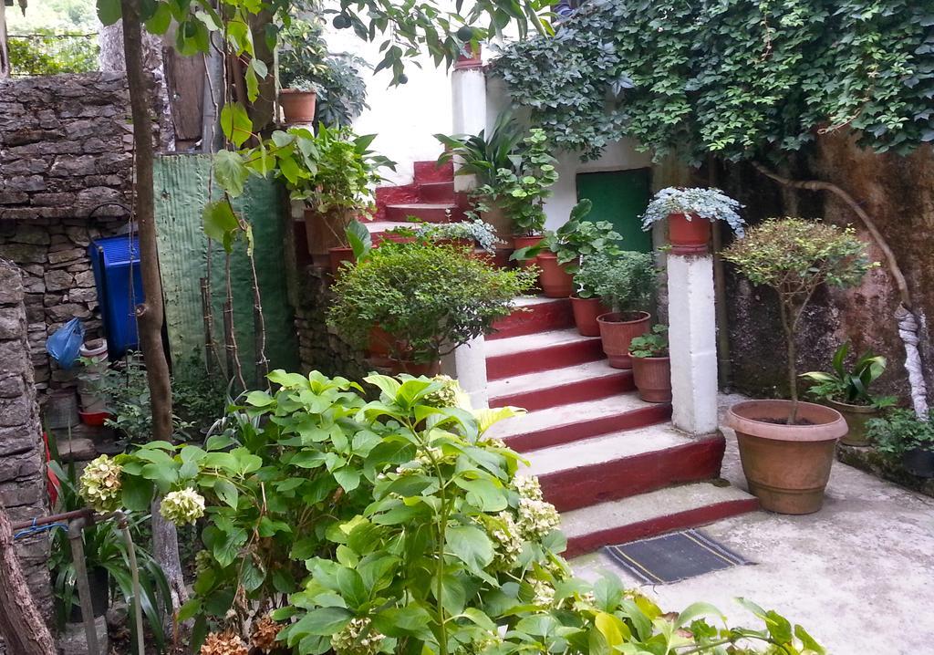 Stone City Hostel Gjirokaster Bagian luar foto